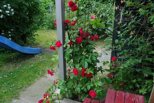  Appelboom Garding - Garten