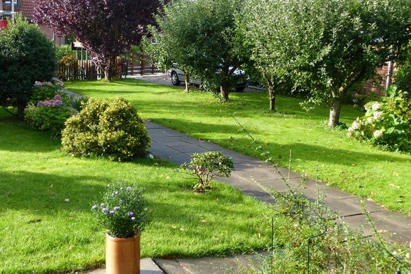  Appelboom Garding - Garten