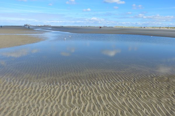  Appelboom Garding - Watt