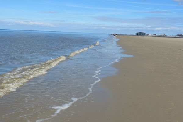  Appelboom Garding - Nordsee