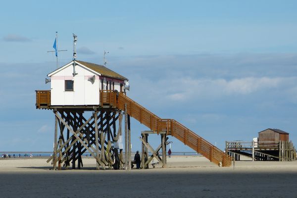  Appelboom Garding - Strand