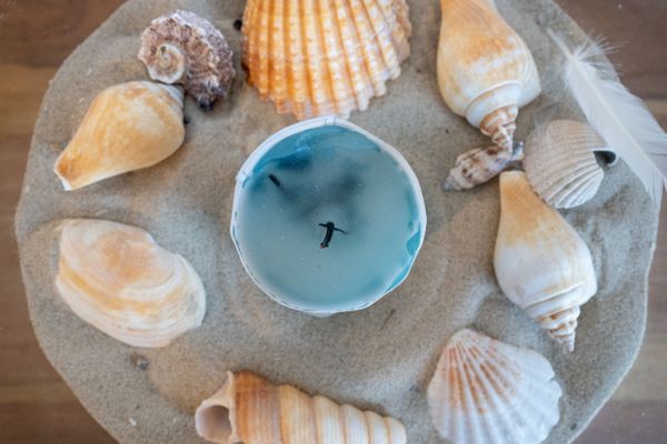  Böhler Strand St. Peter-Böhl - Dekoratives Detail