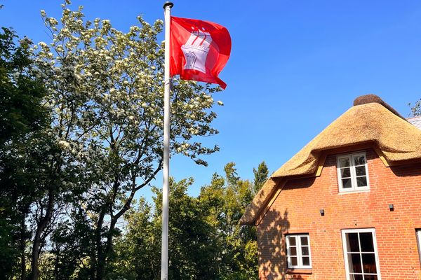  DIEDeichkate Tating - Dekoratives Detail