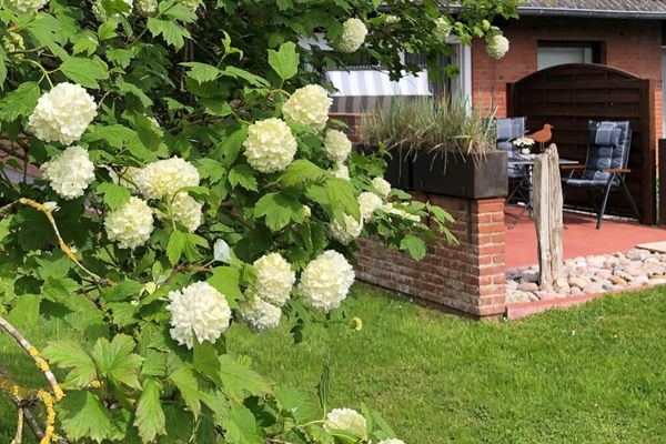  Eidernest Garding - Garten