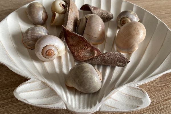  Friesenkieker Garding - Dekoratives Detail