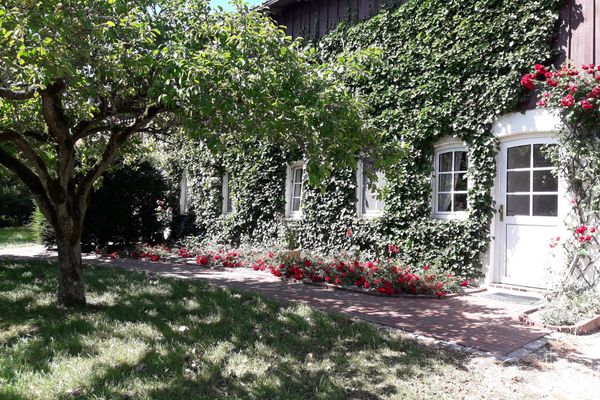  FW auf dem Land Garding - 