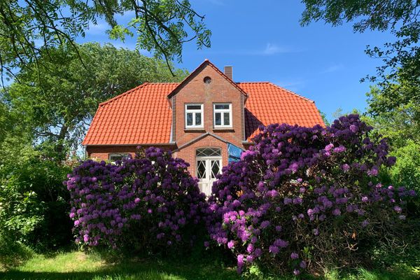  FW auf dem Land Garding - 