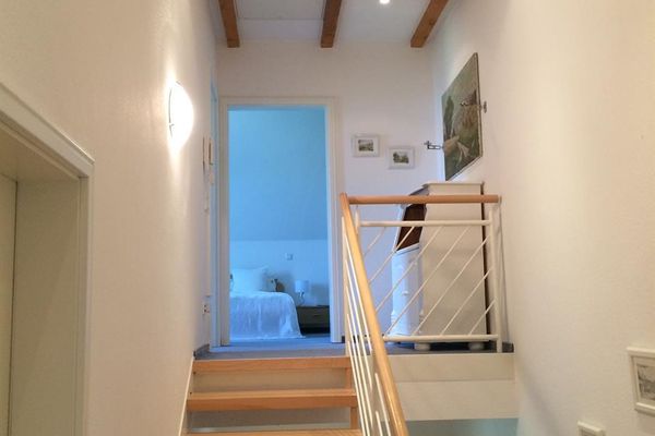  Großer Wattläufer Welt / Vollerwiek - Treppe