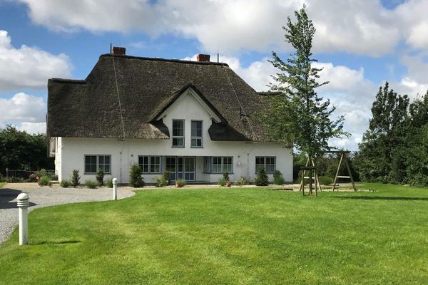  Großer Wattläufer Welt / Vollerwiek - Aussenansicht