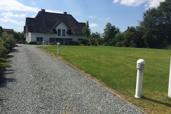  Großer Wattläufer Welt / Vollerwiek - Hofauffahrt