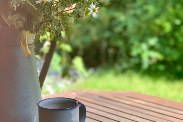  Haus Meeresluft Muschel St. Peter-Böhl - Terrasse