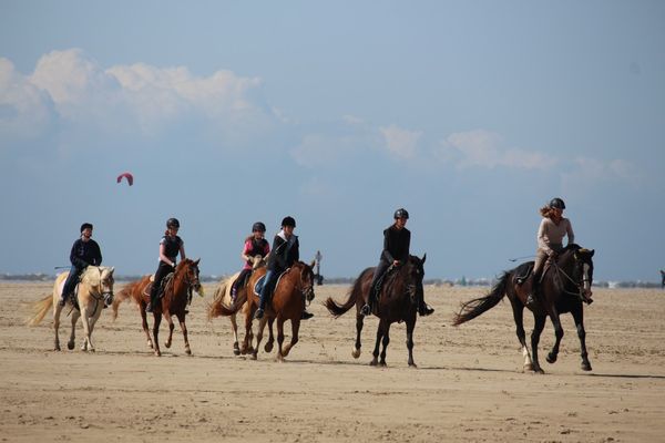  Immensee App. A St. Peter-Böhl - Reiten