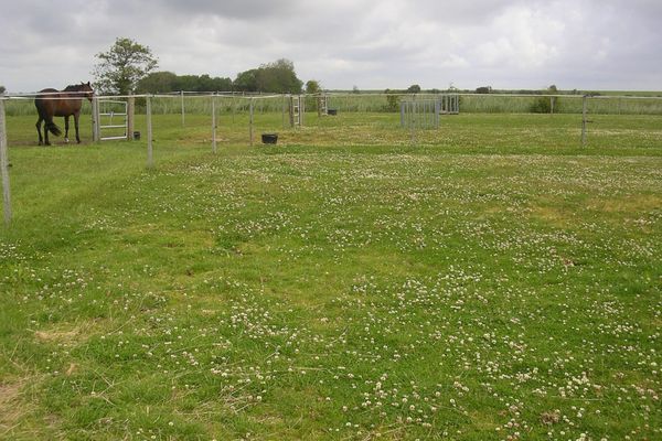  Immensee App. D St. Peter-Böhl - Reitanlage