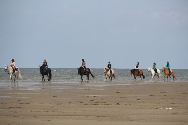  Immensee App. G St. Peter-Böhl - Strand