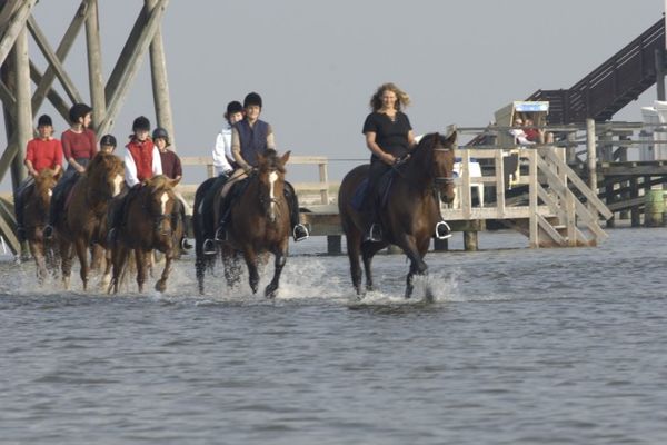  Immensee App. H St. Peter-Böhl - Meer