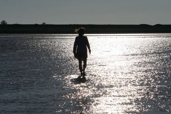  Krabbe 32 Poppenbüll,Osterhever,Tetenbüll - Meer