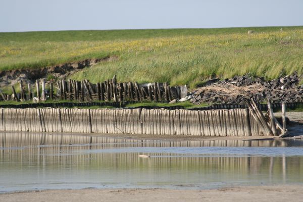  Krabbe 32 Poppenbüll,Osterhever,Tetenbüll - Deich