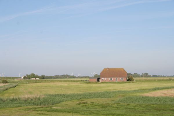  Krabbe 32 Poppenbüll,Osterhever,Tetenbüll - Natur
