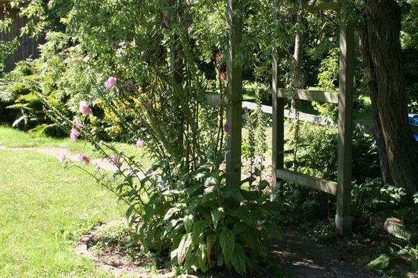  Landhaus Everschop Poppenbüll,Osterhever,Tetenbüll - Garten