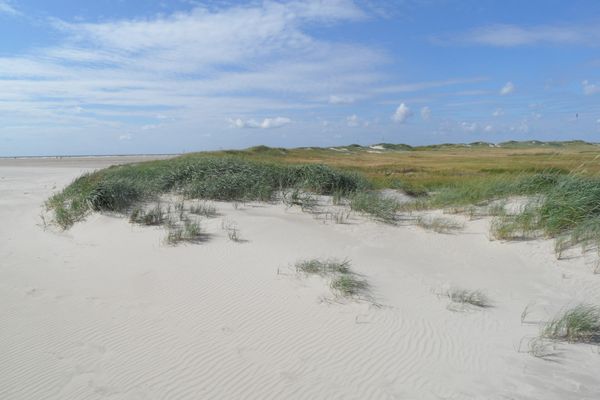  Marschjuwel Garding - Strand