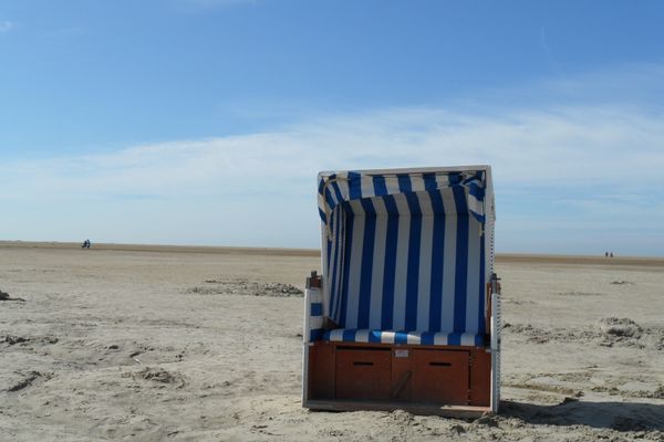  Marschjuwel Garding - Natur