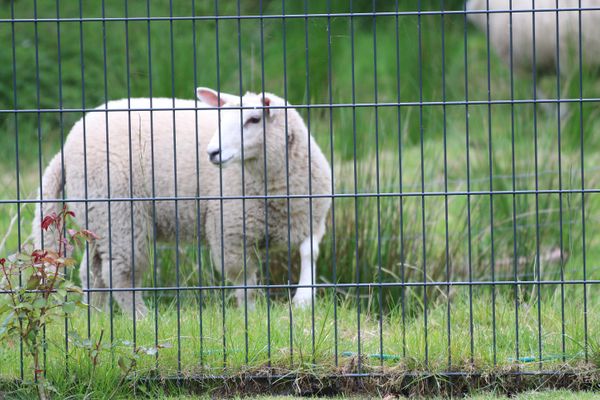  MeerLiebe Garding - Natur