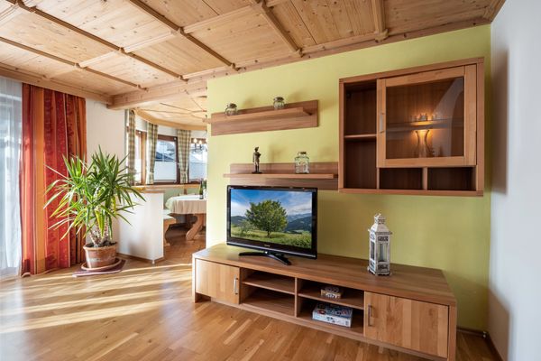  Robert zentrales Appartement mit 1 Schlafzimmer - by NV-Appartements Kirchberg in Tirol - TV / multimedia