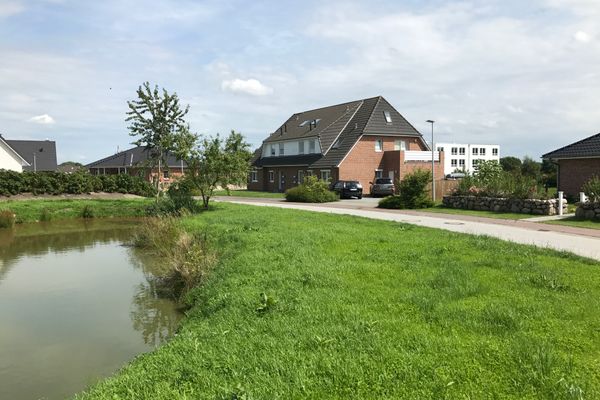  Münstermann Garding - Teich