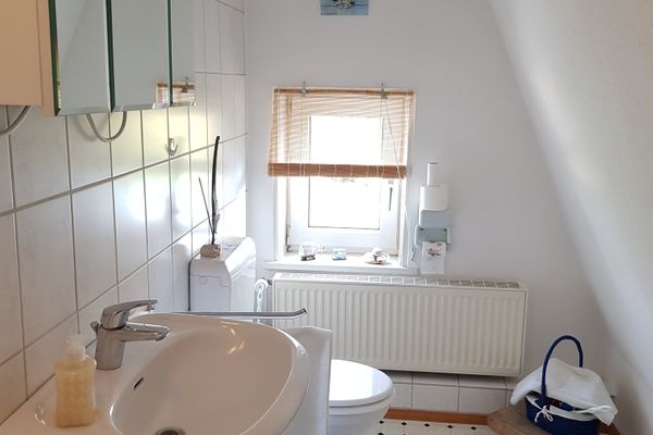  Muschelkästchen OG Tönning - Fenster