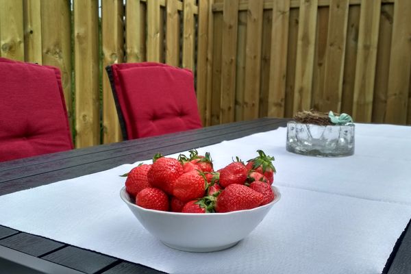  Nordwind Garding - Terrasse