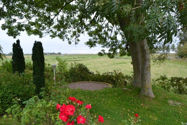  Rosenkate Garding - Gartenblick