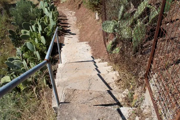 Way to the beach  Blue Fox 2