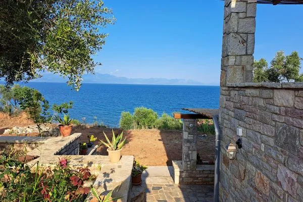 Facade / entrance  Blue Fox 2