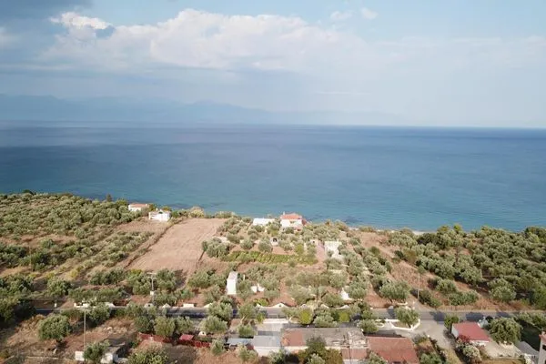 Bird's eye view  Blue Fox 2