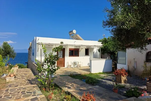 Main view  Blue Fox 3