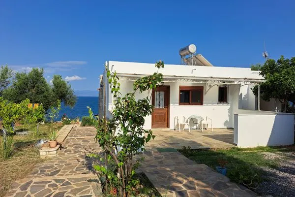 Main view  Blue Fox 3