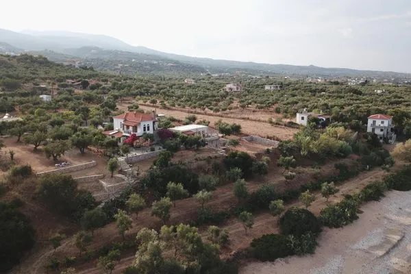 Bird's eye view  Blue Fox 3