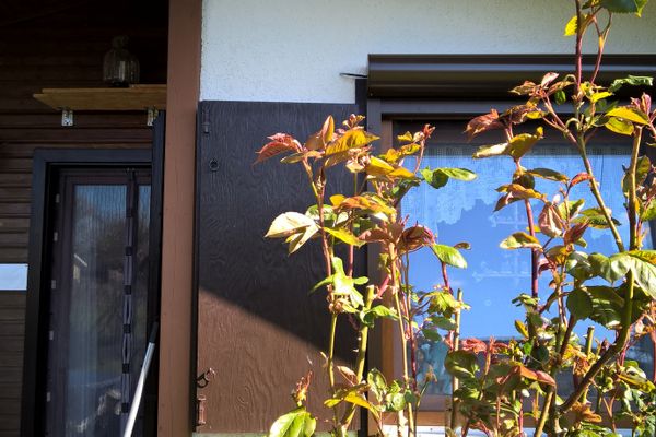  Sonneneck Simonsberg - Fenster