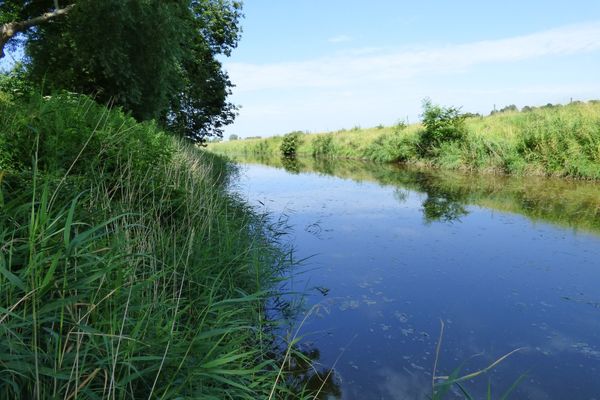  Wasserkoog 22 Poppenbüll,Osterhever,Tetenbüll - Natur