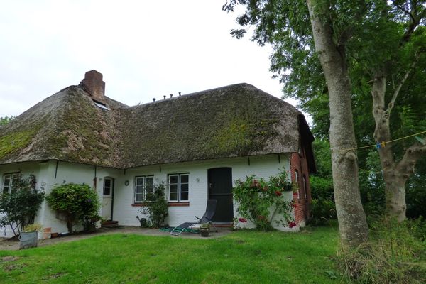  Wasserkoog 22 Poppenbüll,Osterhever,Tetenbüll - Rasenfläche