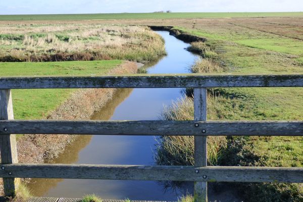  Wasserkoog 22 Poppenbüll,Osterhever,Tetenbüll - Natur