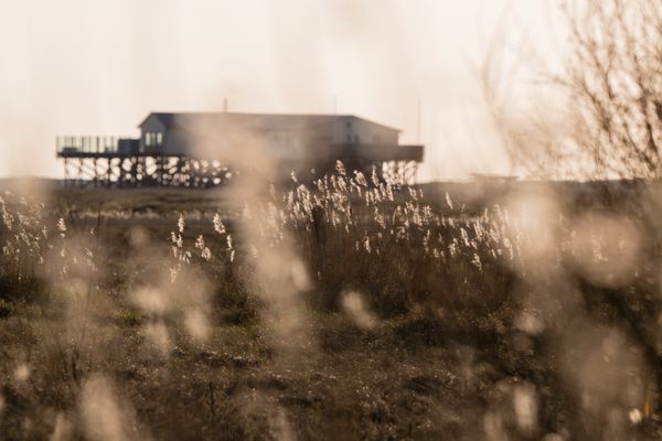  Wolke 9 St. Peter-Bad - Natur