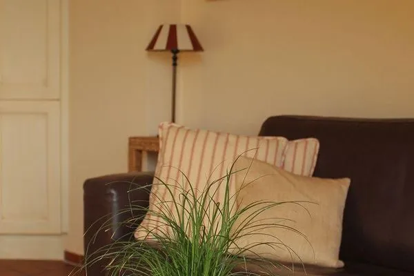 Wohnzimmer Haus Strandblick Ferienwohnung 19