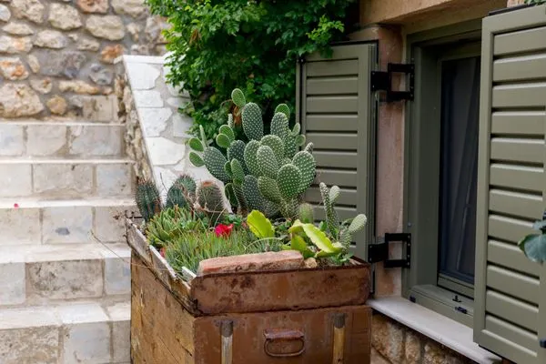 Garten  Spiti-Manolis