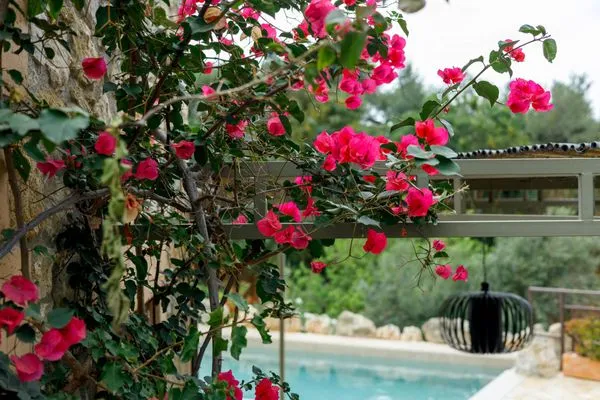 Garten  Spiti-Manolis