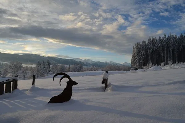Landschaft  Gamsbock - Feriendorf Via Claudia Haus 59
