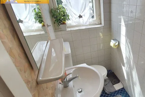 Guest WC  Haus André by FiS - Fun in Styria