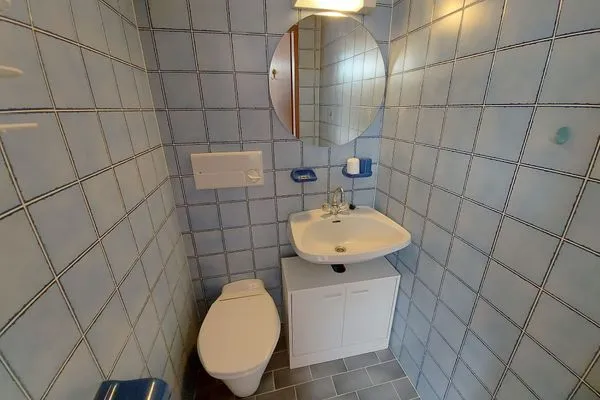 Guest WC  Apartment Bettina by FiS - Fun in Styria