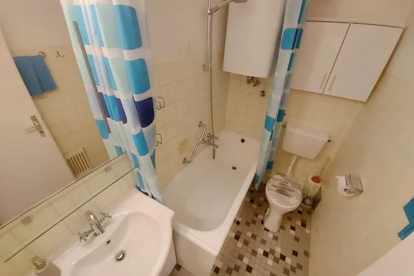 Guest WC  Apartment Dominique by FiS - Fun in Styria