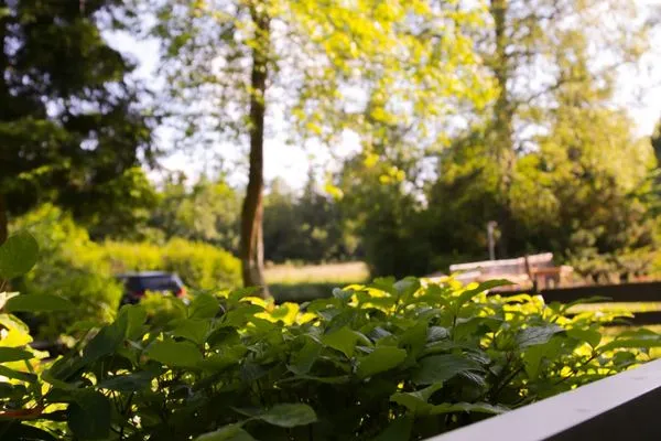 Gartenblick  Berg-Klee